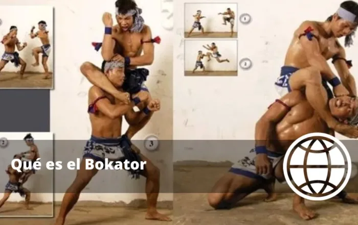 Qué es el Bokator