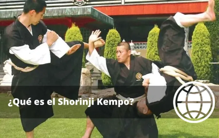 Qué es el Shorinji Kempo