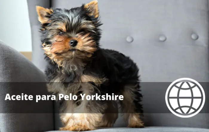 Aceite para Pelo Yorkshire