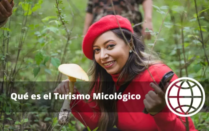 Qué es el Turismo Micológico y Ejemplos