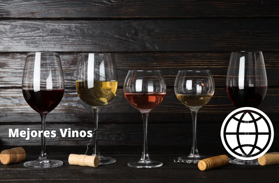 Tipos de Vinos