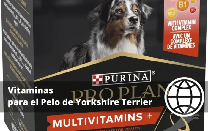 Vitaminas para el Pelo de Yorkshire Terrier