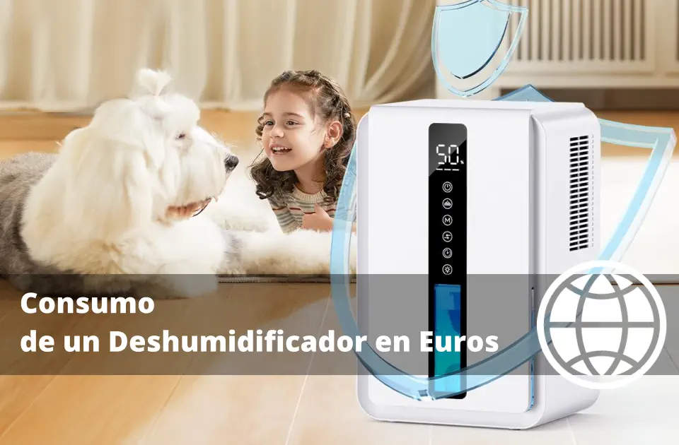 Consumo de un Deshumidificador en Euros