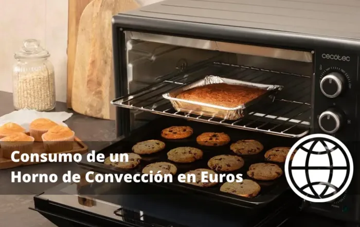 Consumo de un Horno de Convección en Euros