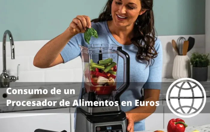 Consumo de un Procesador de Alimentos en Euros