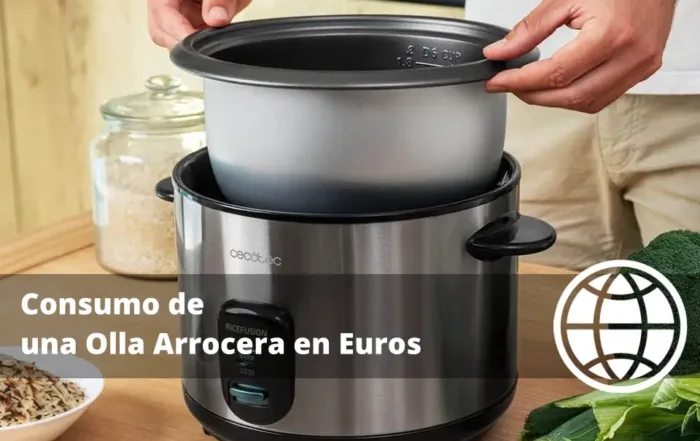Consumo de una Olla Arrocera en Euros