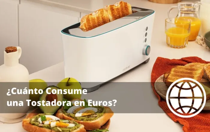 Consumo de una Tostadora en Euros