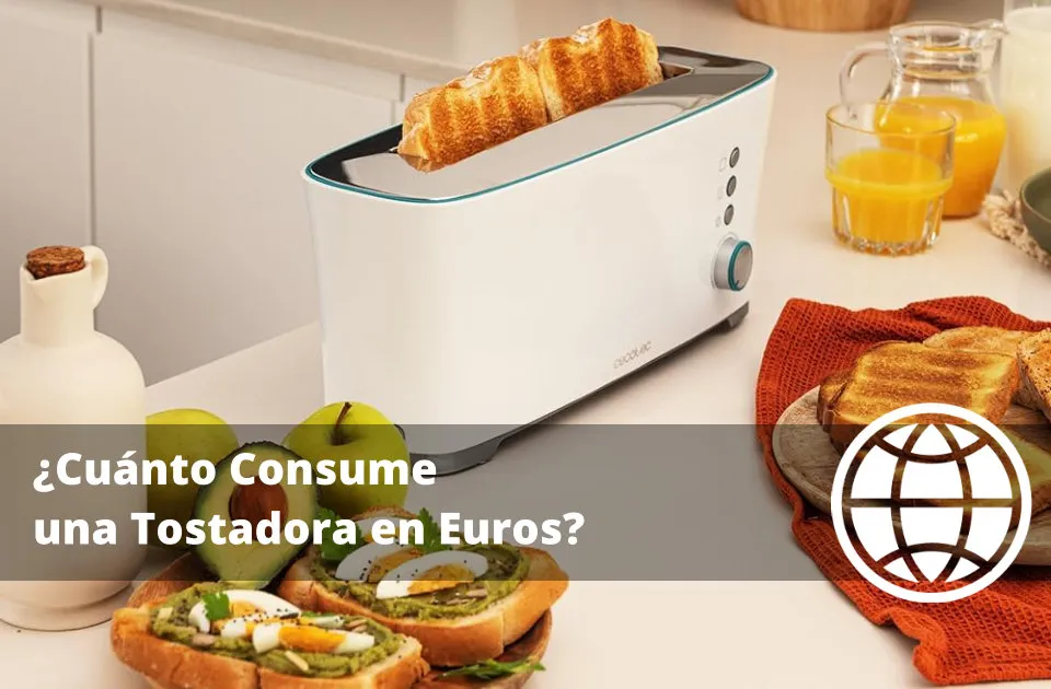Consumo de una Tostadora en Euros
