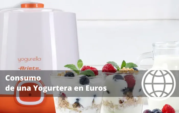 Consumo de una Yogurtera en Euros