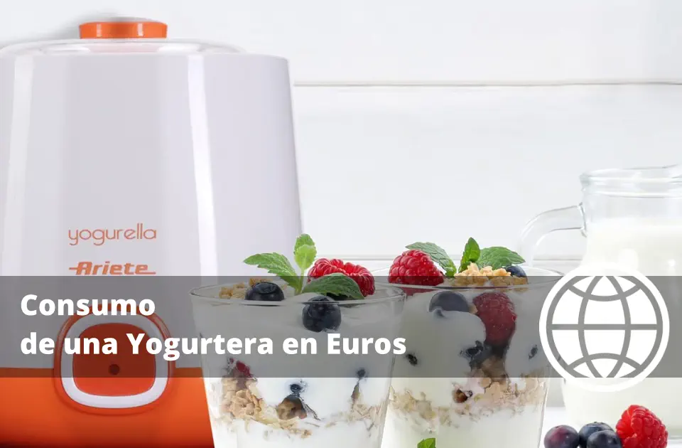 Consumo de una Yogurtera en Euros