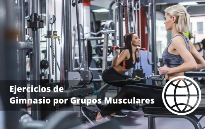 Ejercicios de Gimnasio por Grupos Musculares