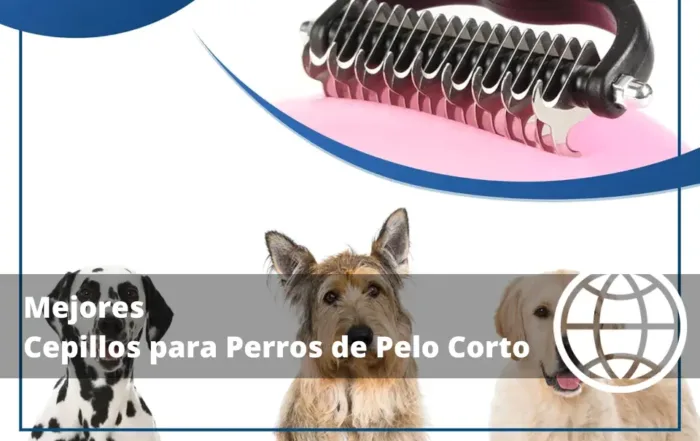 Mejores Cepillos para Perros de Pelo Corto