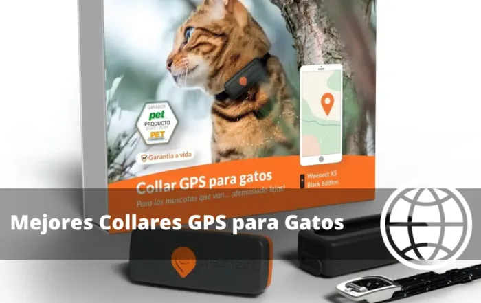 Mejores Collares GPS para Gatos