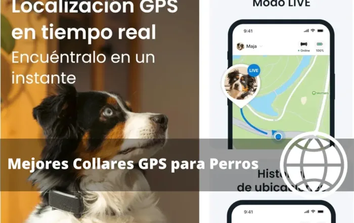 Mejores Collares GPS para Perros