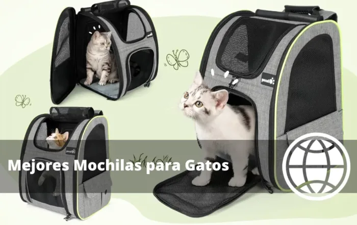 Mejores Mochilas para Gatos y Opiniones de Transporte