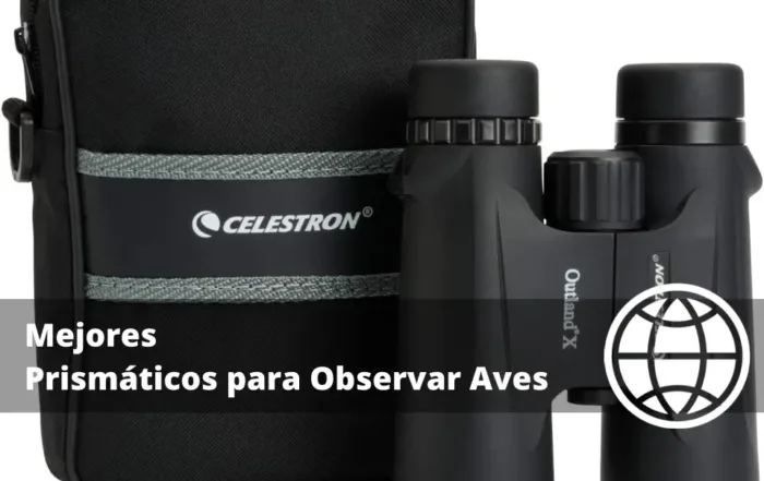 Mejores Prismáticos para Observar Aves