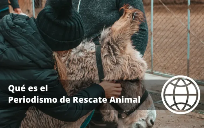 Qué es el Periodismo de Rescate Animal