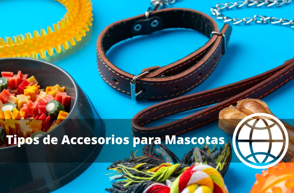 Tipos de Accesorios para Mascotas