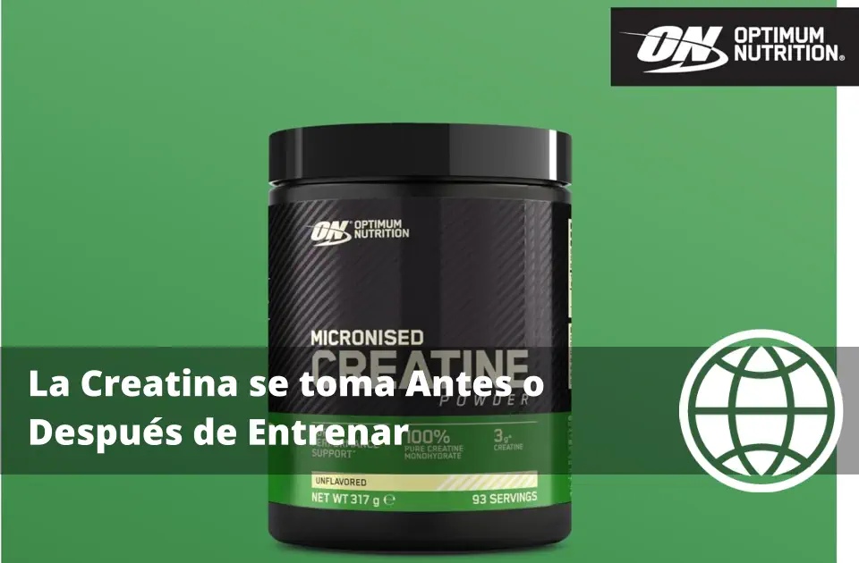 La Creatina se toma Antes o Después de Entrenar
