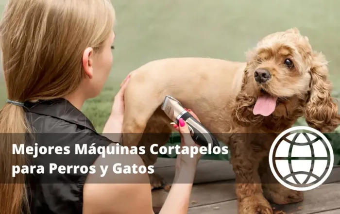 Mejores Máquinas Cortapelos para Perros y Gatos