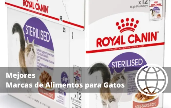 Mejores Marcas de Alimentos para Gatos