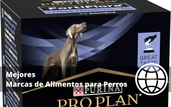 Mejores Marcas de Alimentos para Perros