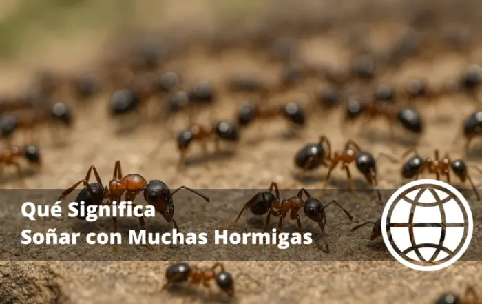 Qué Significa Soñar con Muchas Hormigas