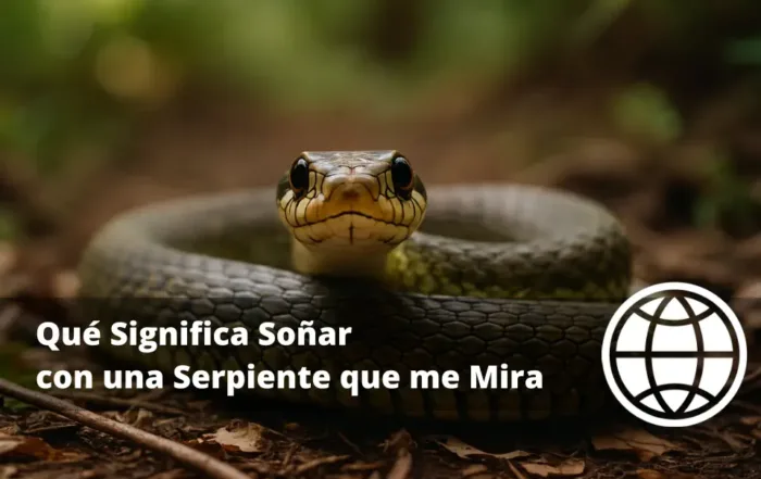 Qué Significa Soñar con una Serpiente que me Mira