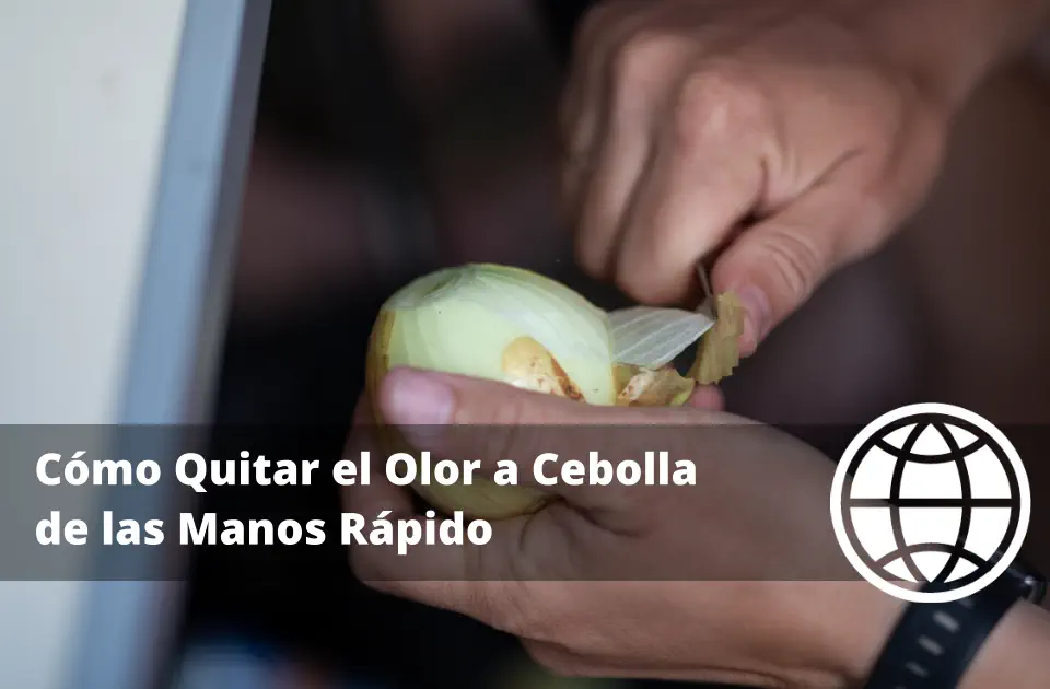 Cómo Quitar el Olor a Cebolla de las Manos Rápido