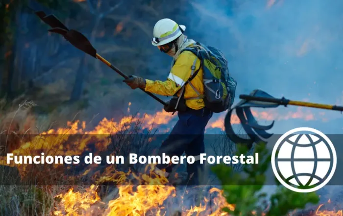 Funciones de un Bombero Forestal