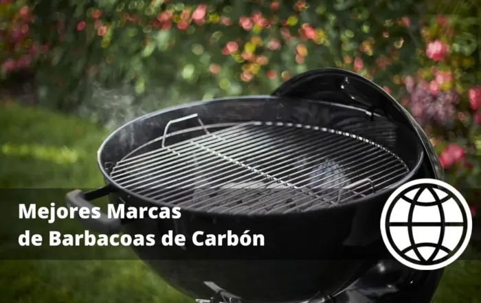 Mejores Marcas de Barbacoas de Carbón