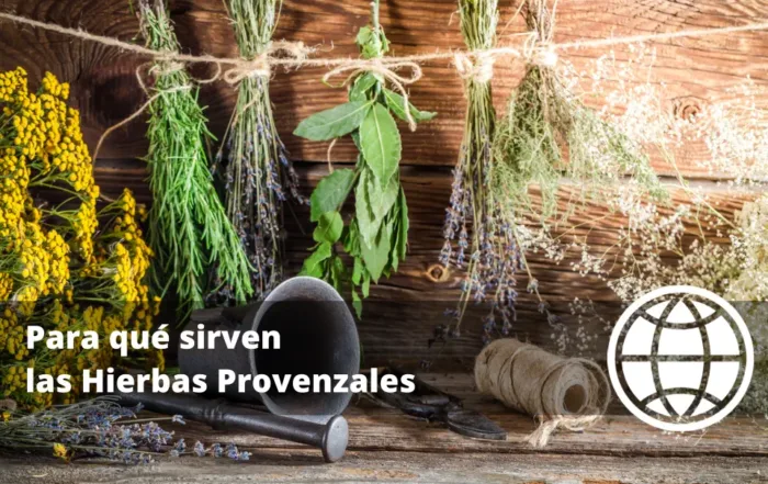 Para qué sirven las Hierbas Provenzales