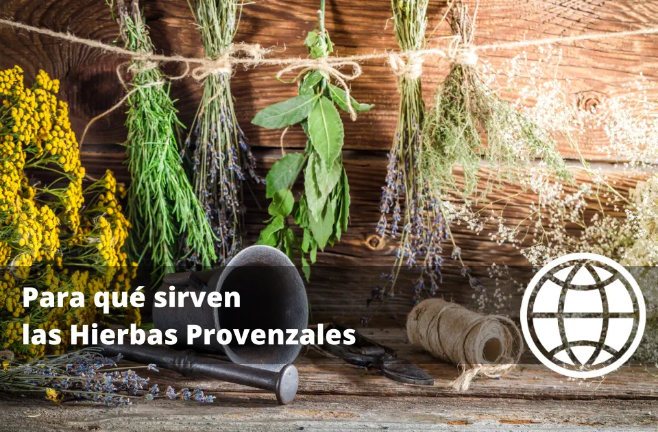Para qué sirven las Hierbas Provenzales