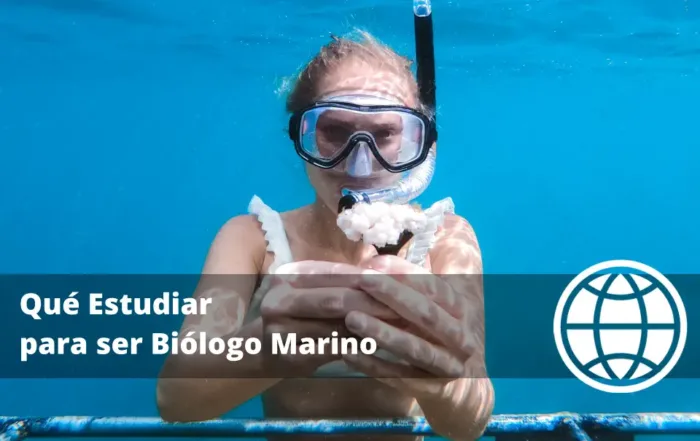 Qué Estudiar para ser Biólogo Marino