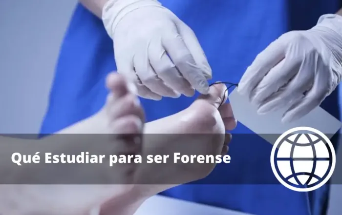 Qué Estudiar para ser Forense en España