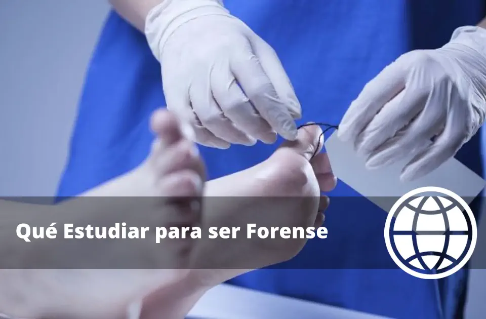 Qué Estudiar para ser Forense en España