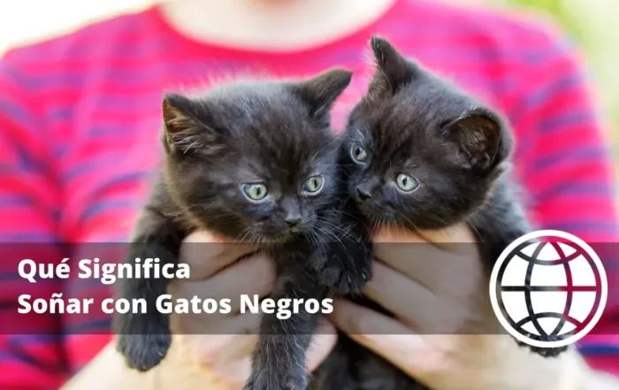 Qué Significa Soñar con Gatos Negros