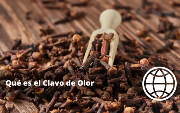 Qué es el Clavo de Olor