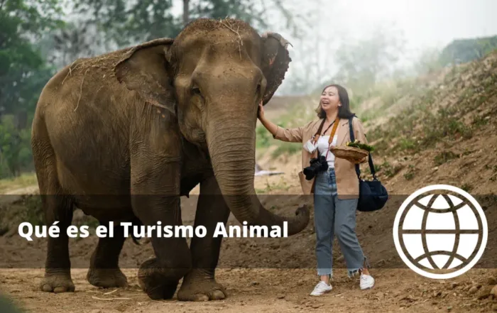 Qué es el Turismo Animal