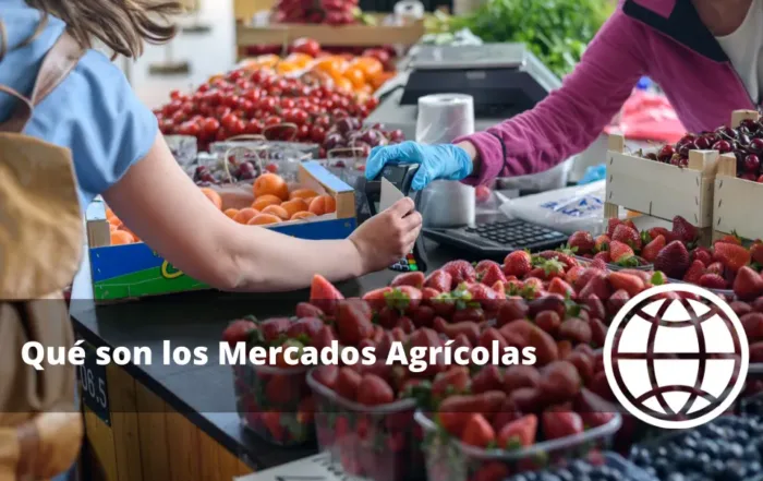 Qué son los Mercados Agrícolas