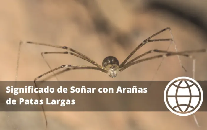 Significado de Soñar con Arañas de Patas Largas