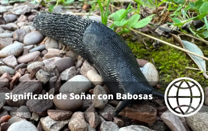 Significado de Soñar con Babosas