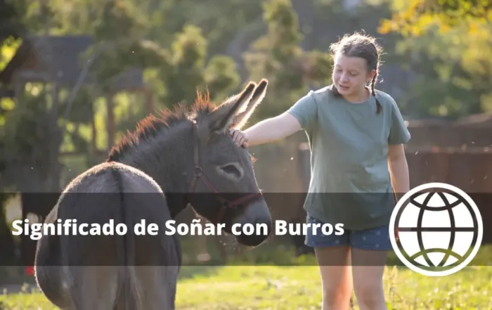 Significado de Soñar con Burros