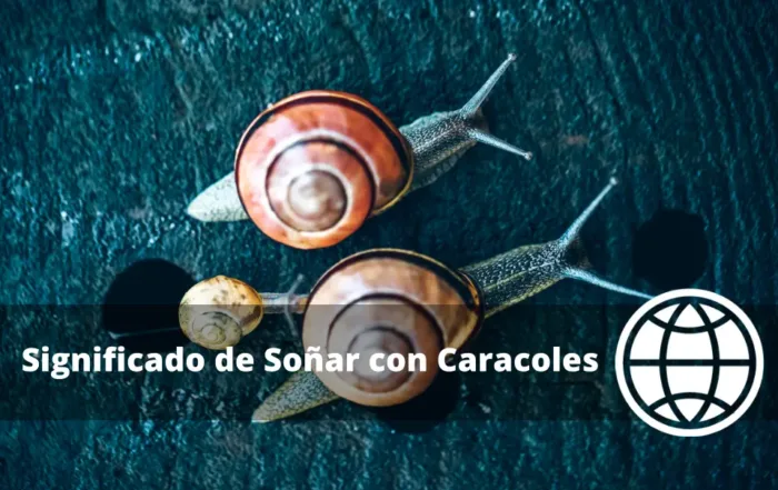 Significado de Soñar con Caracoles