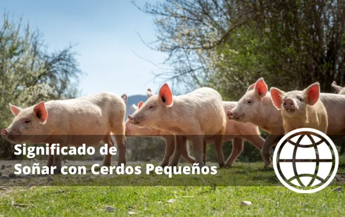 Significado de Soñar con Cerdos Pequeños