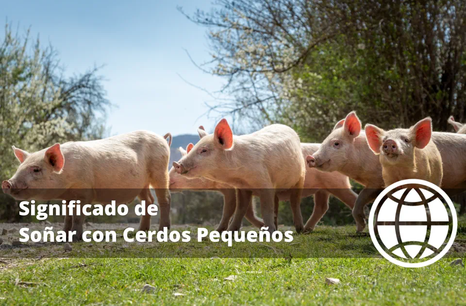 Significado de Soñar con Cerdos Pequeños
