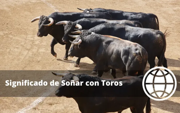 Significado de Soñar con Toros
