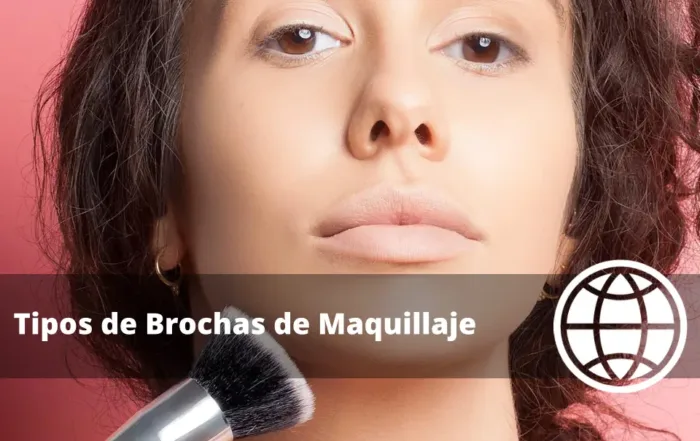 Tipos de Brochas de Maquillaje y sus Funciones