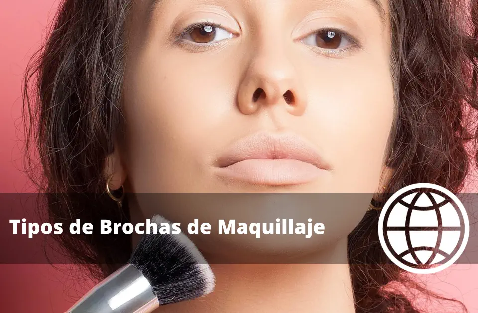 Tipos de Brochas de Maquillaje y sus Funciones