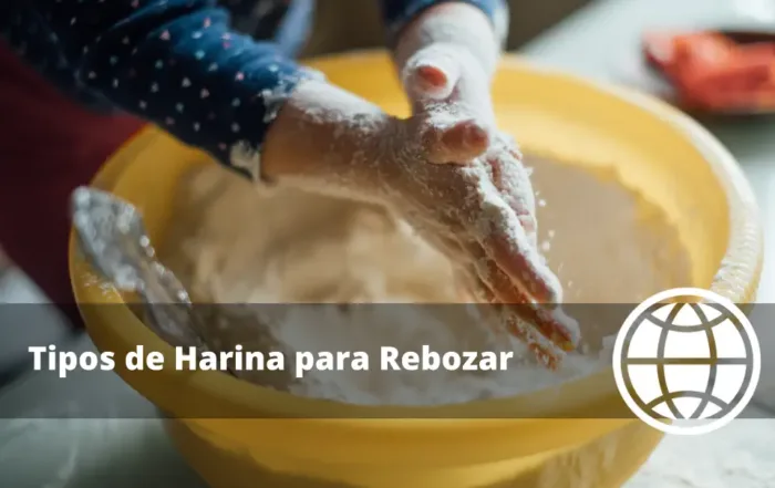 Tipos de Harina para Rebozar